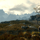 Illustration for article titled The Wonderful Distractions, Sentient Glitches of Skyrim's Massive World